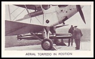Aerial Torpedo In Position
